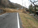 resize4557.jpg
