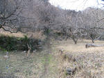 resize4555.jpg
