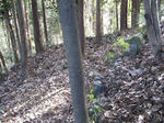 resize4510.jpg