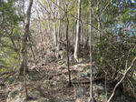resize4514.jpg