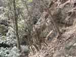 resize4515.jpg