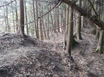 resize4538.jpg