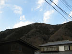 resize4561.jpg