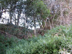 resize4812.jpg