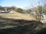resize4653.jpg