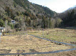 resize4650.jpg