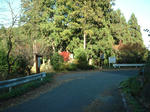 resize4258.jpg