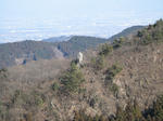 resize4661.jpg