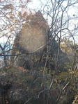 resize4262.jpg