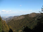 resize4660.jpg