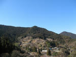 resize4667.jpg