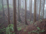 DSCF0005.JPG