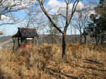 resize4690.jpg