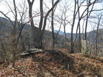 resize4686.jpg