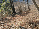 resize4695.jpg