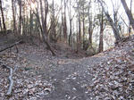 resize4774.jpg