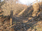 resize4776.jpg
