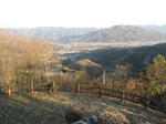 resize4780.jpg