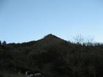 resize4805.jpg