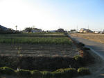 resize4815.jpg