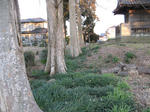 resize4836.jpg
