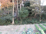 resize4843.jpg