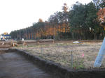 resize3867.jpg