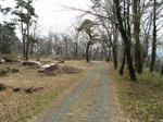 resize5298.jpg