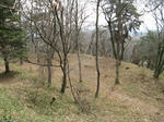 resize5300.jpg