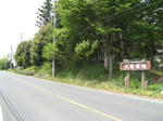 resize5459.jpg
