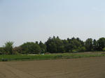 resize5460.jpg