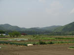resize5461.jpg