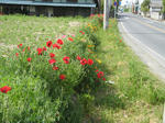 resize5543.jpg