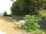 resize5555.jpg