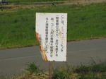 resize5583.jpg
