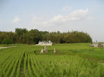 resize5585.jpg
