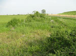 resize5586.jpg