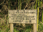 resize5592.jpg