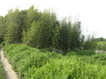 resize5598.jpg