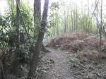 resize5613.jpg