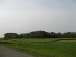 resize5622.jpg