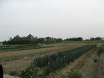 resize5637.jpg