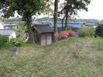 resize5648.jpg