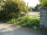 resize5660.jpg