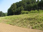 resize5707.jpg