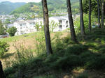 resize5712.jpg