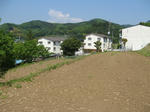 resize5708.jpg