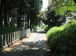 resize5750.jpg