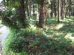 resize5751.jpg
