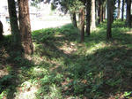 resize5754.jpg